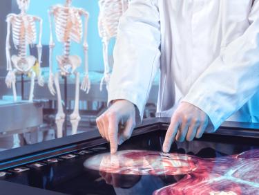 Anatomía virtual